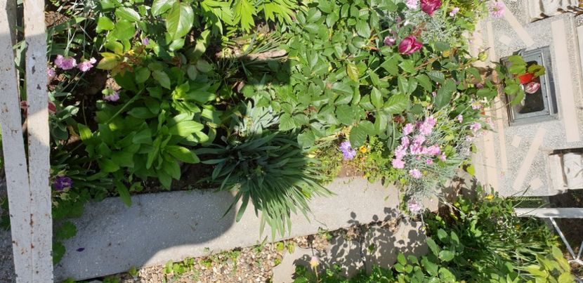  - 1M album 2021 gradina mama