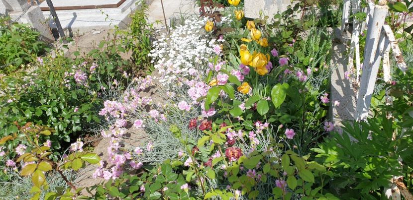  - 1M album 2021 gradina mama