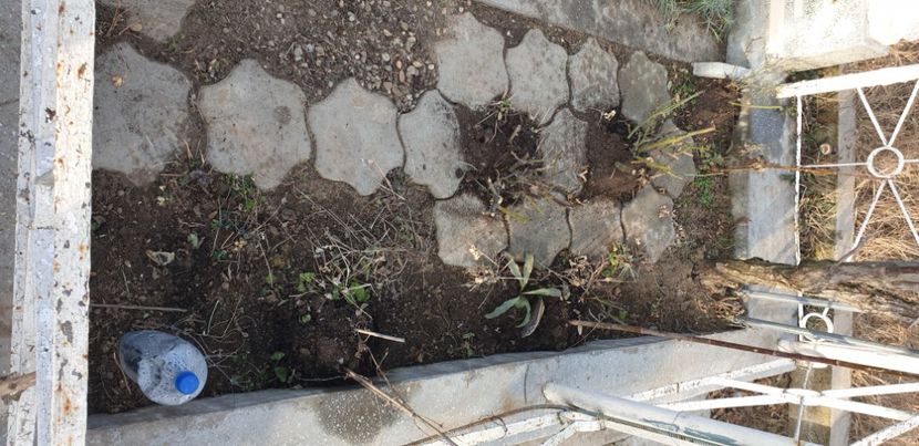  - 1M album 2021 gradina mama