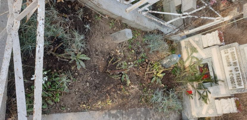  - 1M album 2021 gradina mama