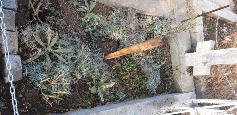  - 1M album 2021 gradina mama