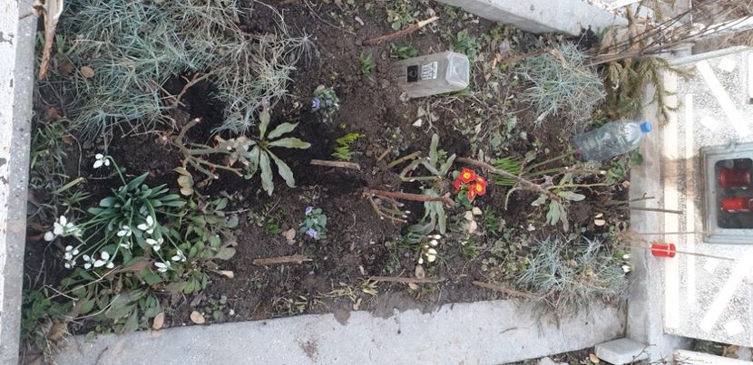  - 1M album 2021 gradina mama