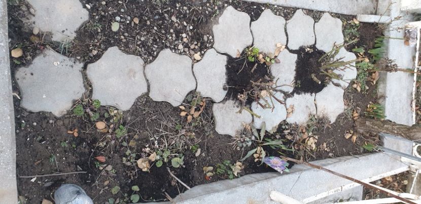  - 1M album 2021 gradina mama