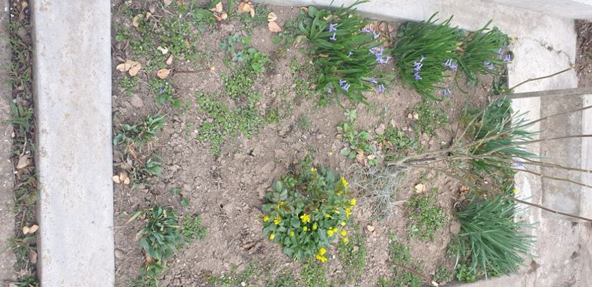  - 1M album 2021 gradina mama