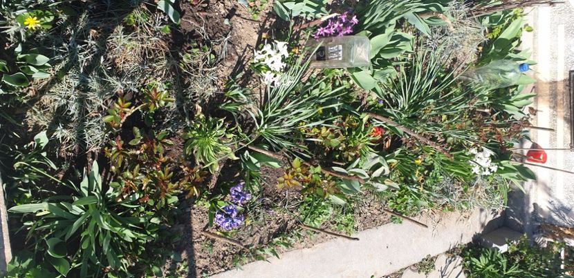  - 1M album 2021 gradina mama