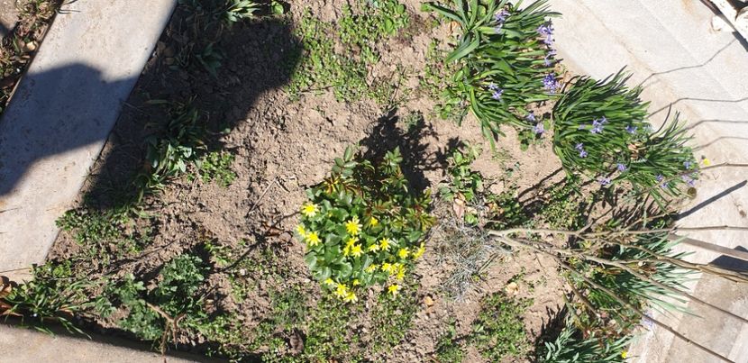  - 1M album 2021 gradina mama