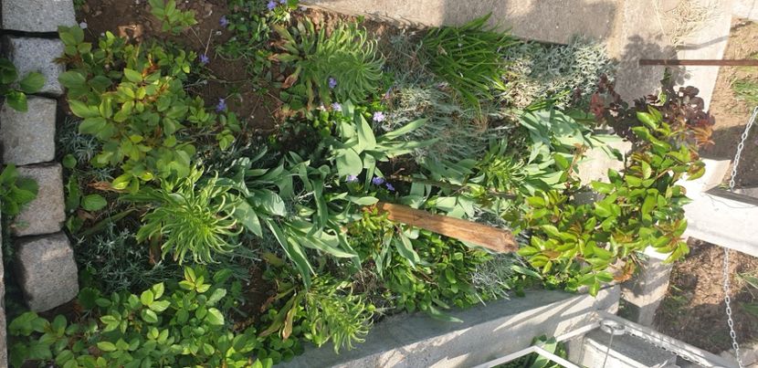  - 1M album 2021 gradina mama