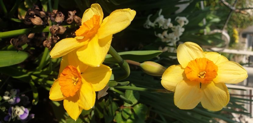  - 1M album 2021 gradina mama