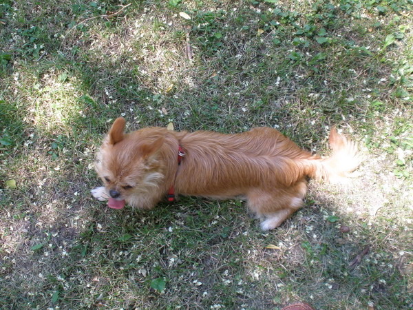 Z-Lajla-Picture 1738