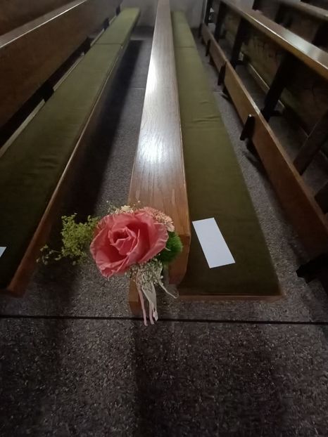 IMG20240503173304 - Z-Buchete