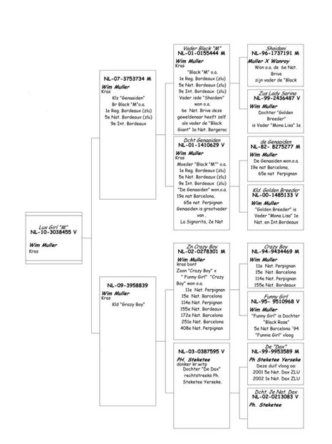 Lux Girl m pedigree - JONGE WIM - Wim Muller nepot din LUX GIRL locul 14 nat Barcelona 2013