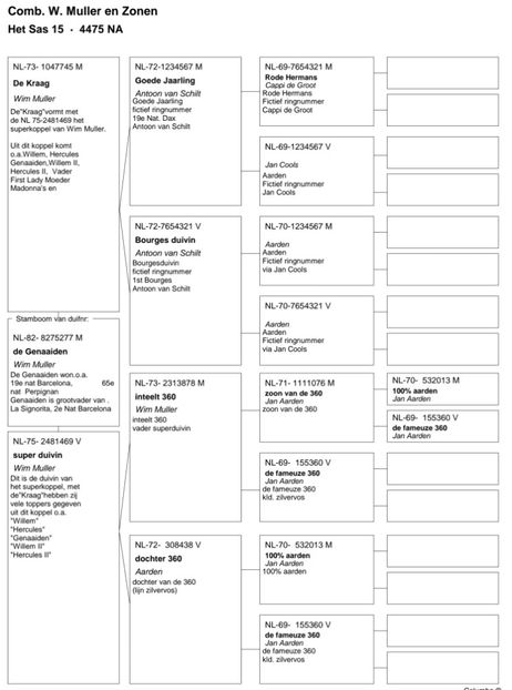 GENAAIDEN pedigree - JONGE WIM - Wim Muller nepot din LUX GIRL locul 14 nat Barcelona 2013