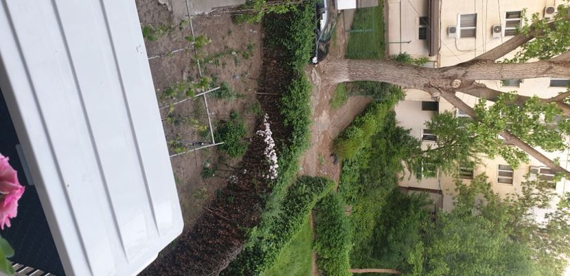  - Gradina bloc 2022