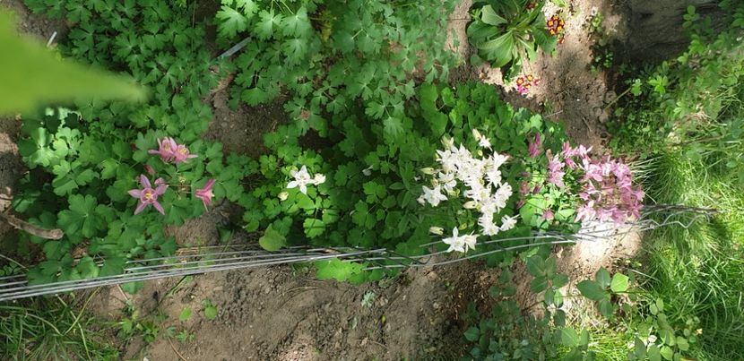  - Gradina bloc 2022