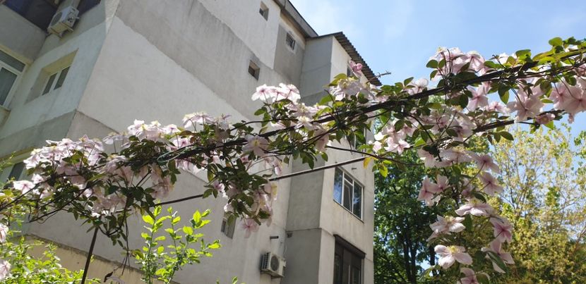  - Gradina bloc 2022
