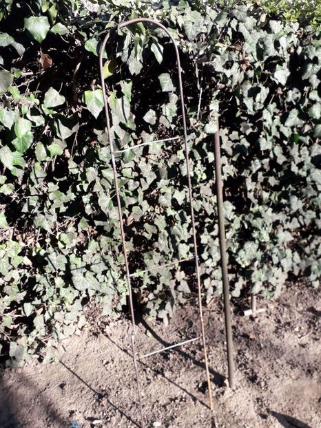 IMG-20210412-WA0007 - gradina bloc 2021