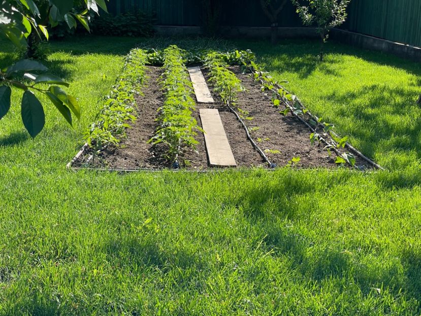  - 001 Gradina de legume 2023-2024-2025