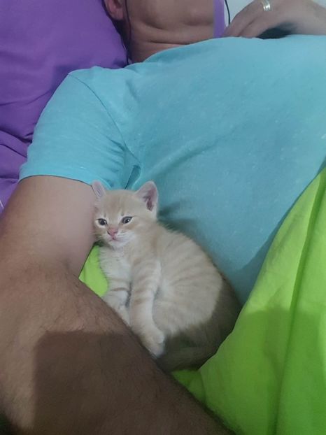 IMG-20240513-WA0010 - 1Aris