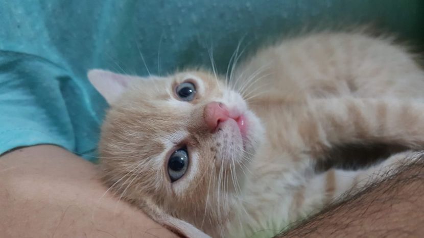 IMG-20240513-WA0013 - 1Aris