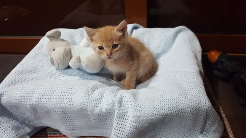 IMG-20240513-WA0014 - 1Aris