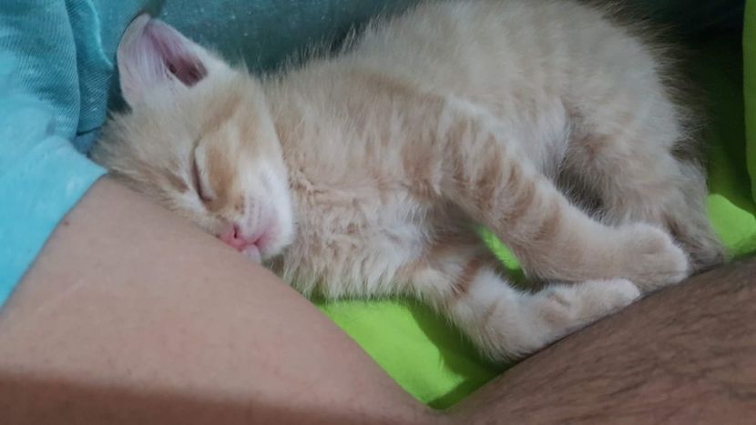 IMG-20240513-WA0003 - 1Aris