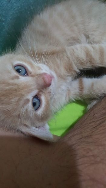 IMG-20240513-WA0006 - 1Aris