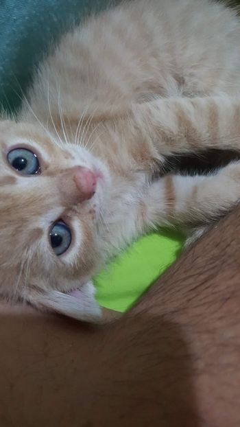 IMG-20240513-WA0015 - 1Aris