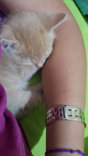 IMG-20240513-WA0019 - 1Aris