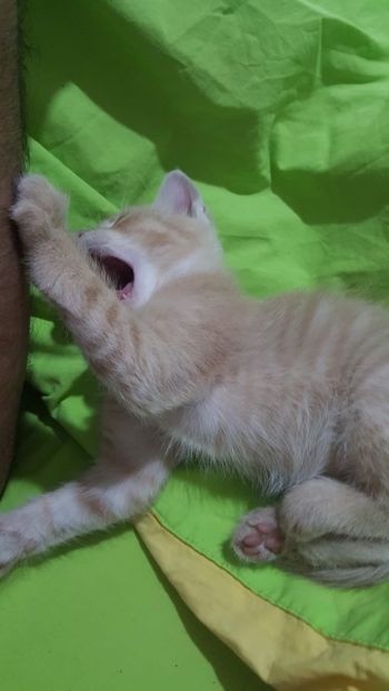 IMG-20240513-WA0020 - 1Aris