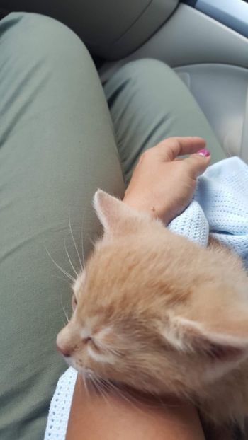 IMG-20240513-WA0022 - 1Aris