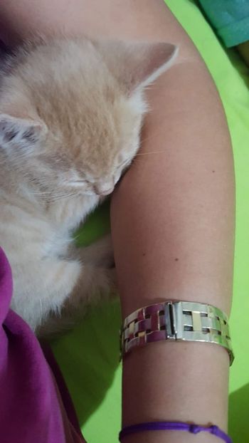 IMG-20240513-WA0023 - 1Aris