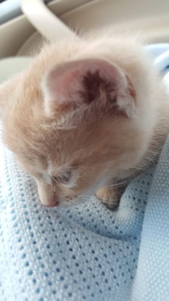 IMG-20240513-WA0026 - 1Aris