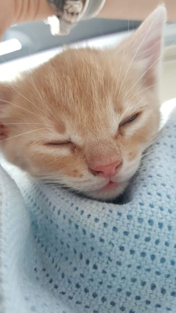 IMG-20240513-WA0028 - 1Aris