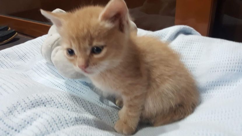 IMG-20240513-WA0030 - 1Aris