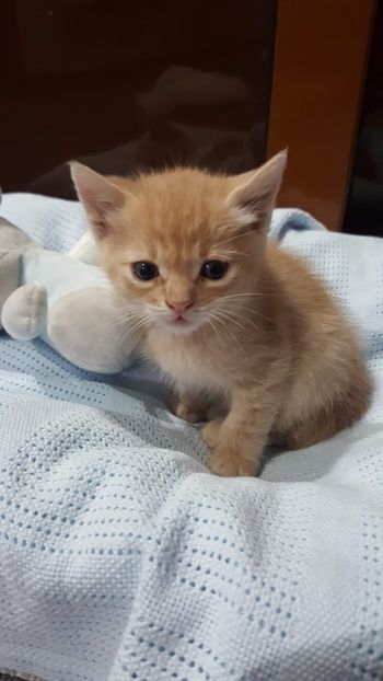 IMG-20240513-WA0032 - 1Aris