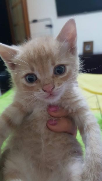 IMG-20240513-WA0034 - 1Aris