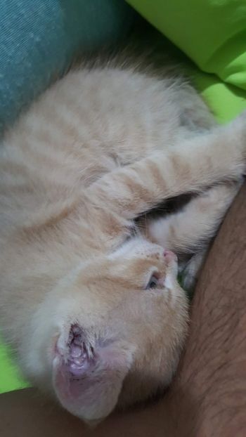 IMG-20240513-WA0036 - 1Aris