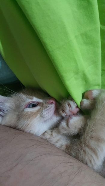 IMG-20240513-WA0037 - 1Aris