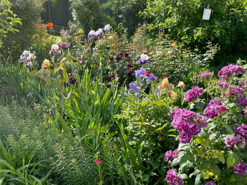  - 002 Grădina 2024 1