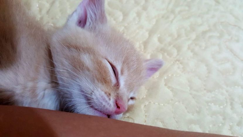 IMG-20240513-WA0075 - 1Aris