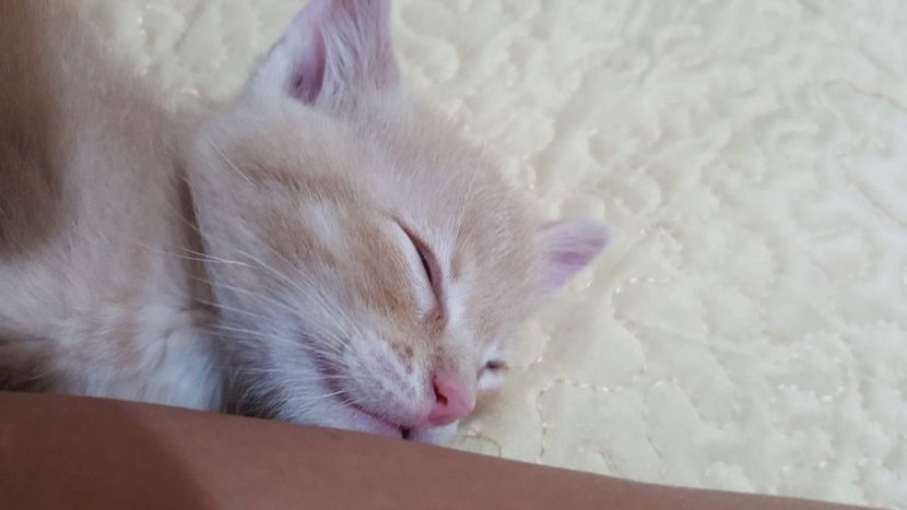 IMG-20240513-WA0078 - 1Aris