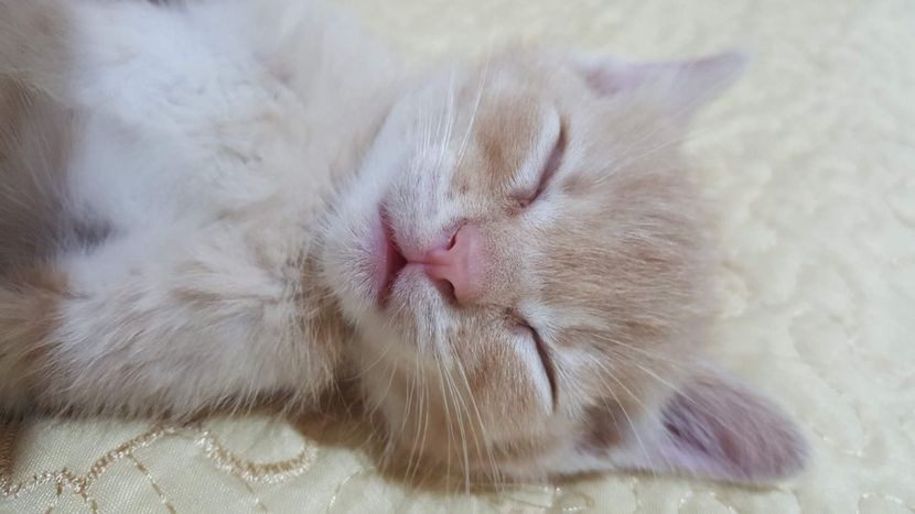 IMG-20240513-WA0083 - 1Aris