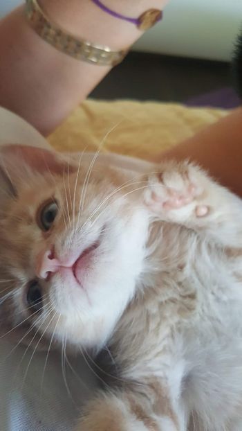 IMG-20240513-WA0086 - 1Aris