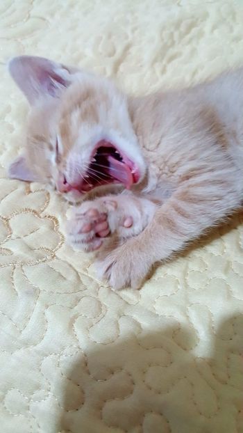 IMG-20240513-WA0087 - 1Aris