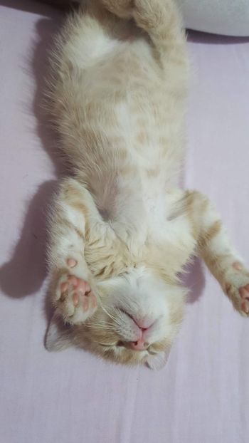 IMG-20240513-WA0098 - 1Aris