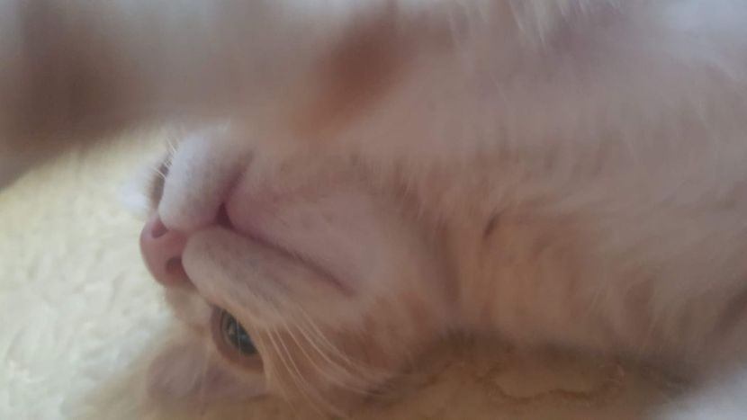 IMG-20240513-WA0101 - 1Aris