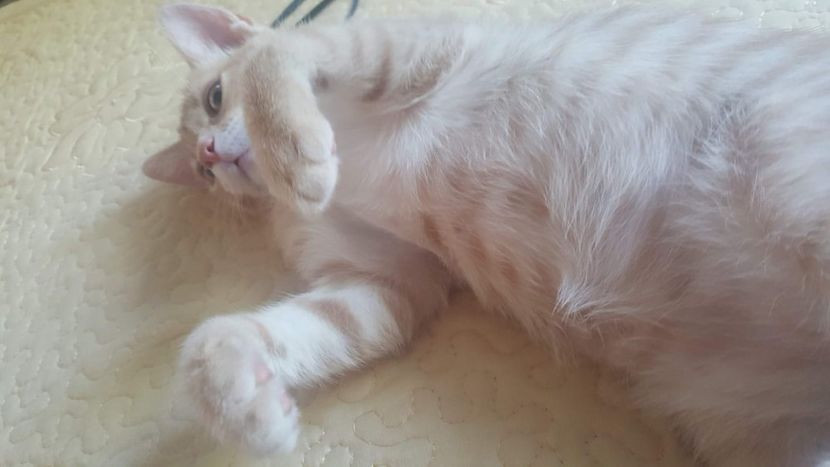 IMG-20240513-WA0103 - 1Aris