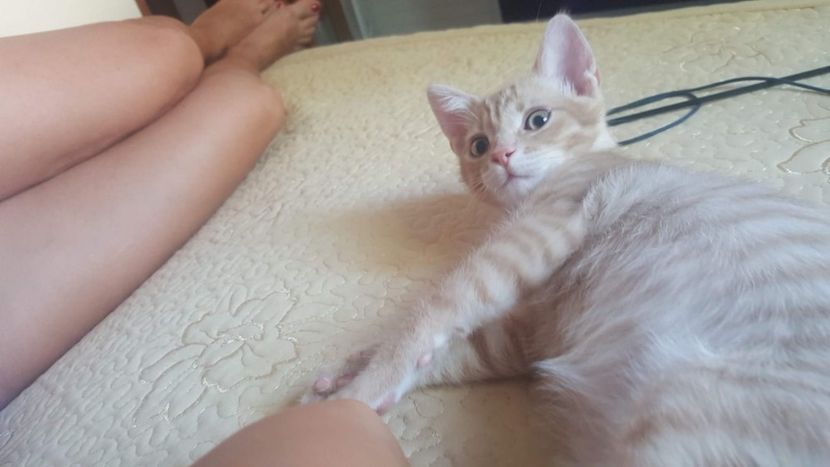 IMG-20240513-WA0107 - 1Aris