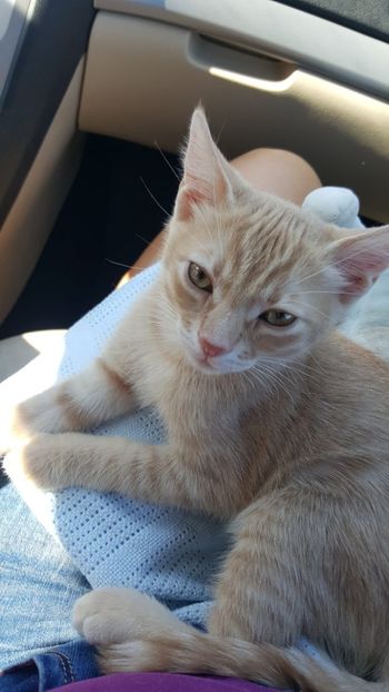 IMG-20240513-WA0108 - 1Aris