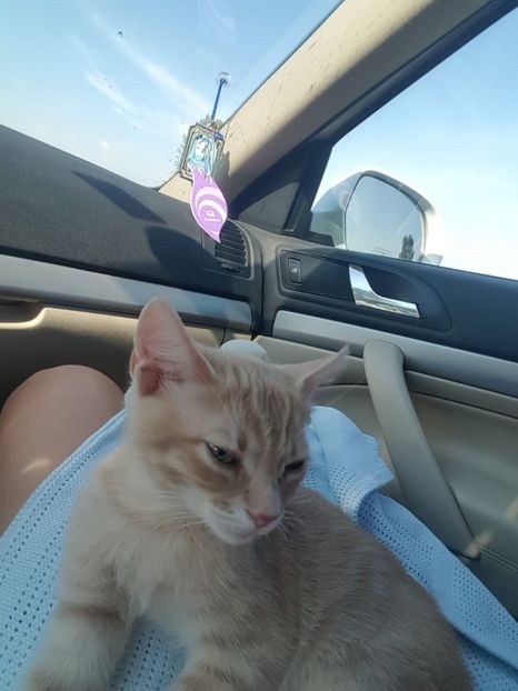 IMG-20240513-WA0110 - 1Aris